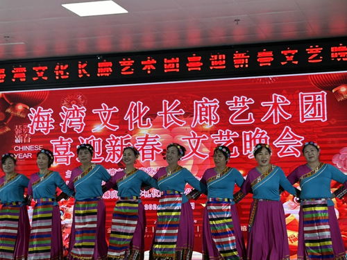 海灣文化長廊藝術(shù)團舉辦“喜迎新春”文藝晚會，共繪文化藝術(shù)交流新畫卷